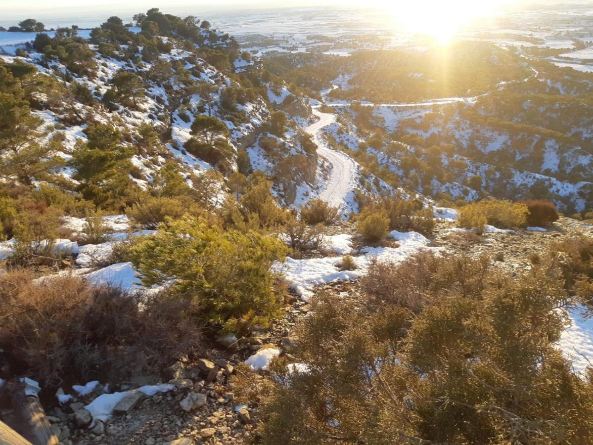 Amanece Monegrillo Apartamentos Dış mekan fotoğraf