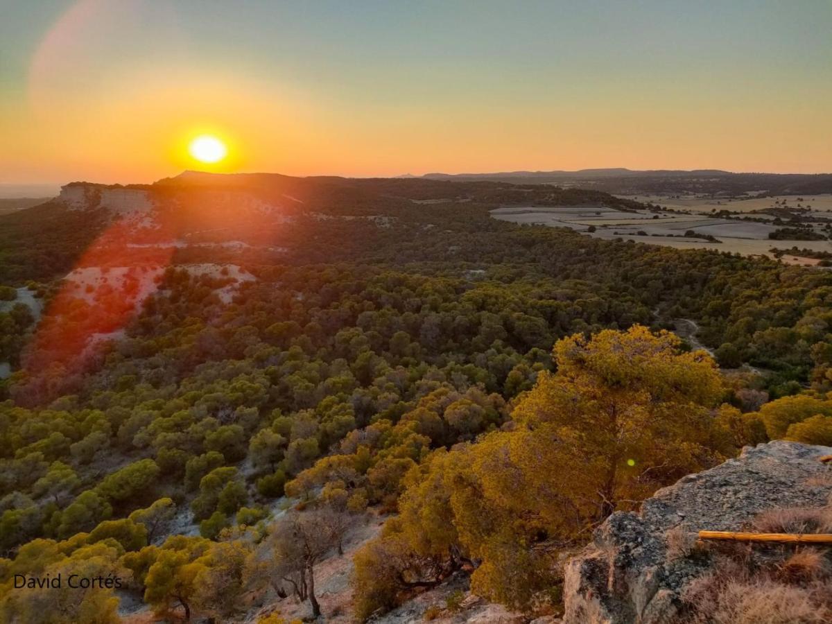 Amanece Monegrillo Apartamentos Dış mekan fotoğraf